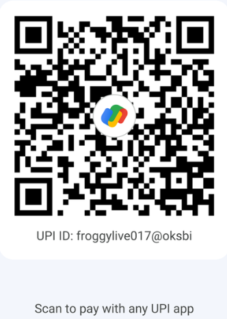 Froggy SMP UPI QR code